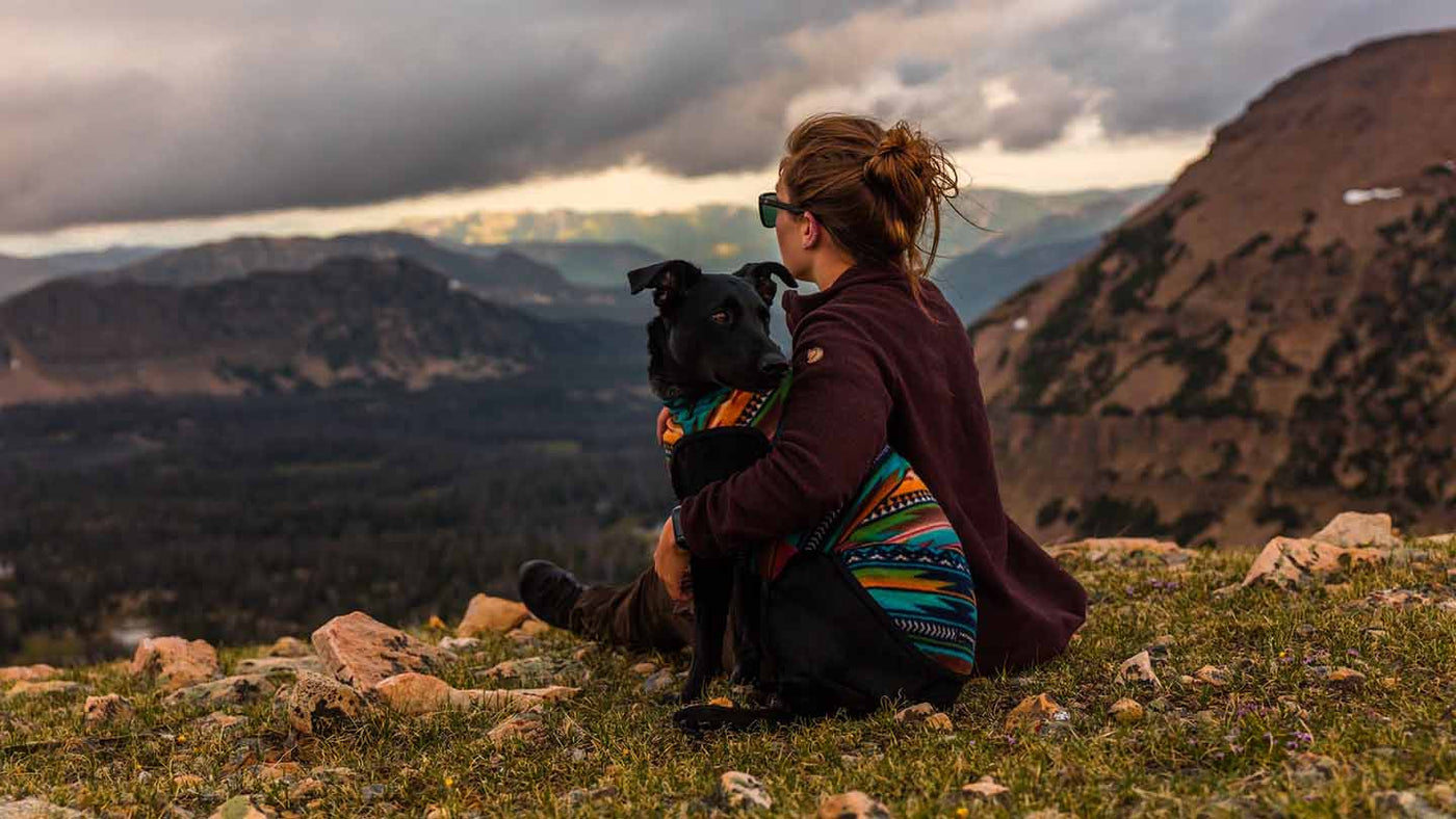 Tips for Hiking With Your Dog