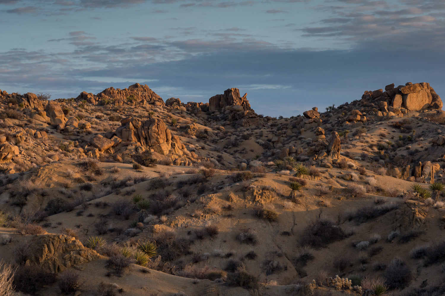 Hike of the Week: Joshua Tree National Park – Paria Outdoor Products