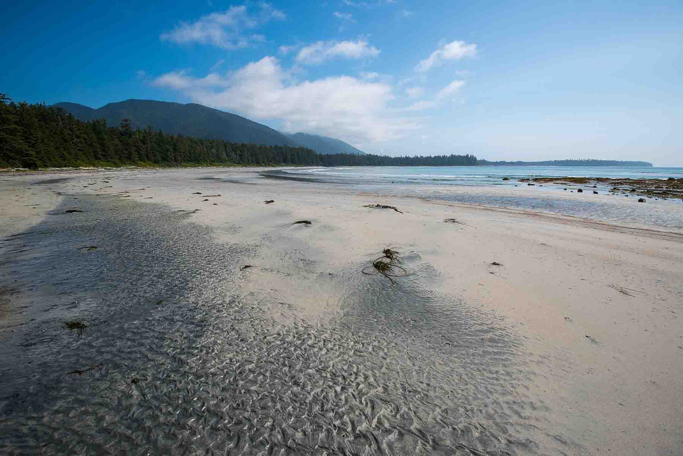 Hike of the Week - Nootka Trail