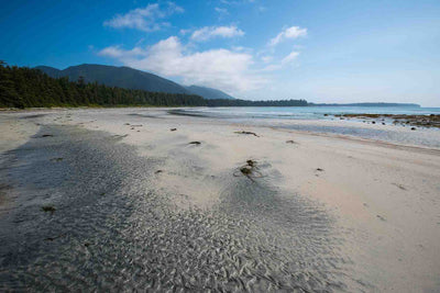 Hike of the Week: Nootka Trail